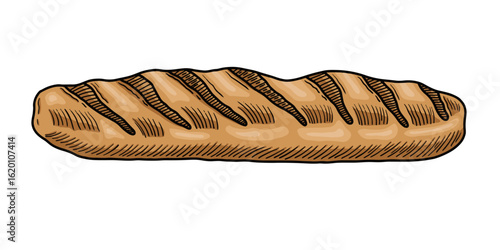 Classic cartoon baguette bread vector illustration. Hand drawn engraved style baguette loaf