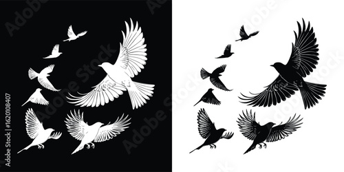 A flock of birds in graceful flight, depicted in a dynamic formation against both black and white backgrounds, symbolizing freedom and movement
