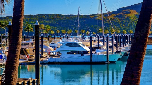 Boats are docked in a vibrant blue marina, surrounded by lush green hills on Hamilton Island.