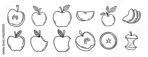  apple doodle hand drawn icon set. Outline drawing apple line clipart symbol collection