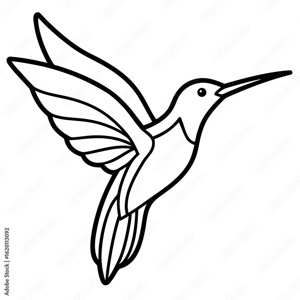 Obraz premium Minimalist Hummingbird Line Art Illustration