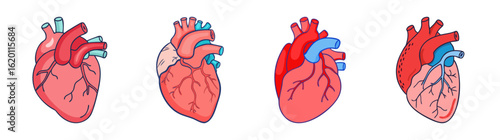 Four stylized anatomical heart illustrations displaying varied artistic interpretations