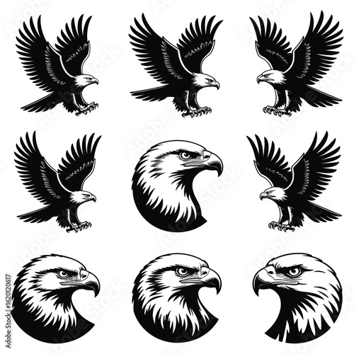 Vector set of majestic eagle icons. Black and white illustrations of a bird of prey for logos, heraldry, and team mascots.