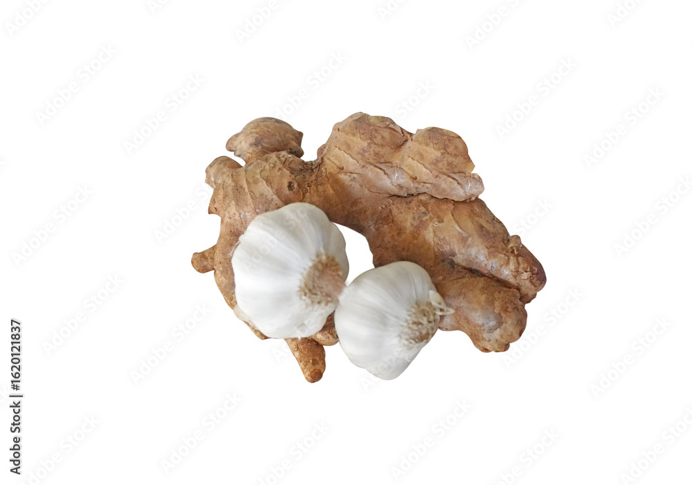 Fototapeta premium Garlic and ginger isolated on white background. The garlic in the recipes of traditional medicine and to enhance immunity