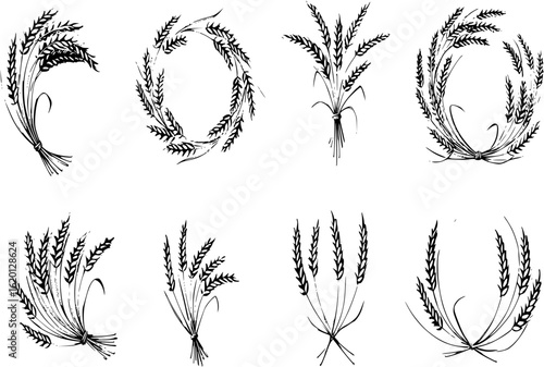 Wheat wreaths and grain spikes set icons
