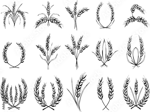 Wheat wreaths and grain spikes set icons
