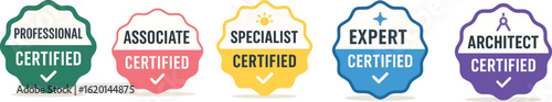 Certified Badge Icons for Professional, Associate, Specialist, Expert, Architect – Vector Design Set