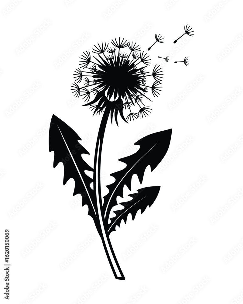custom made wallpaper toronto digitalDetailed Dandelion Flower Silhouette with Seeds Blowing in The Wind, Isolated Plant Vector Illustration