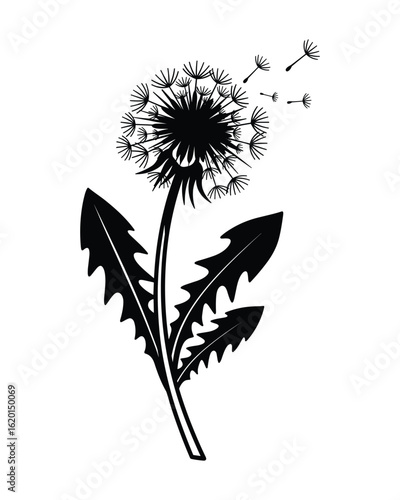 Wallpaper Mural Detailed Dandelion Flower Silhouette with Seeds Blowing in The Wind, Isolated Plant Vector Illustration Torontodigital.ca
