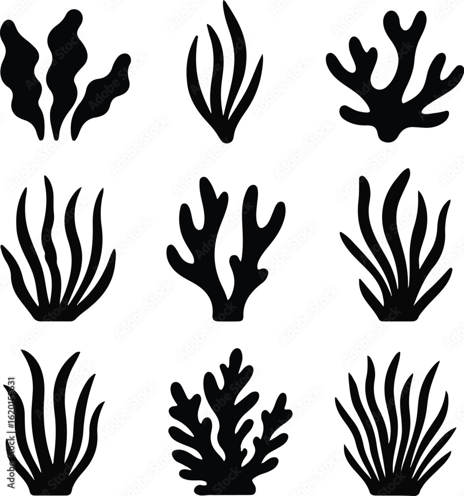 Fototapeta premium Ocean plants marine foliage vector set