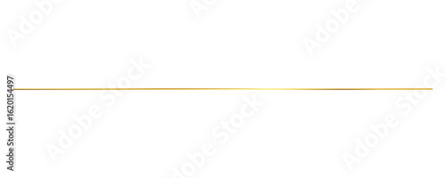Golden Horizontal Line Thin Elegant Decoration Simple Design Element Vector Illustration