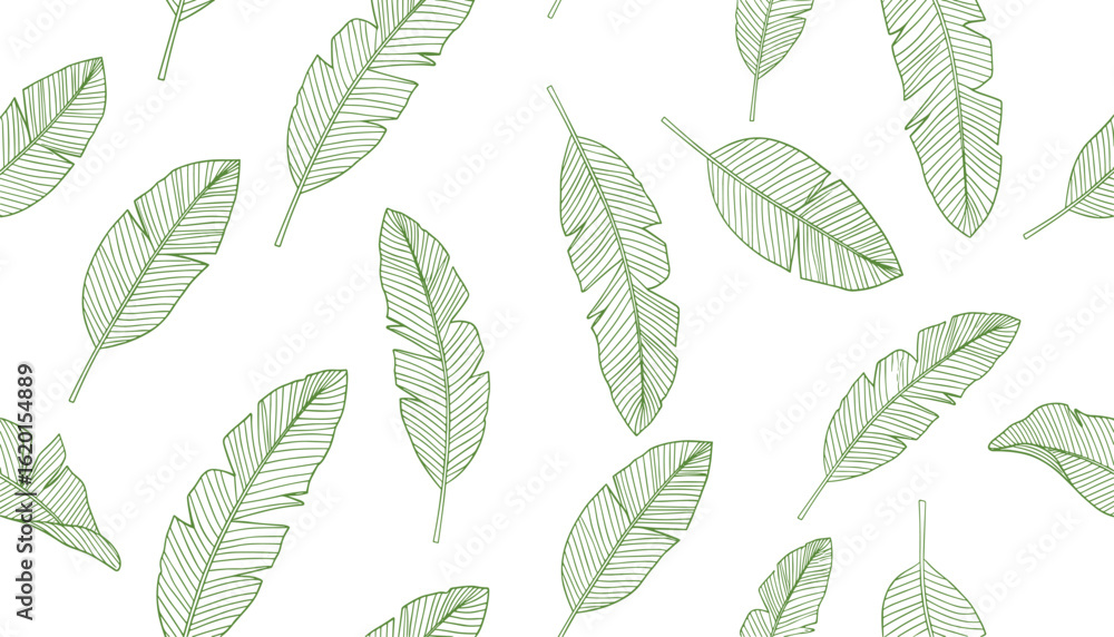 Fototapeta premium Green Banana Leaves Pattern on White Background, Tropical Foliage Design, Seamless Vector Illustration