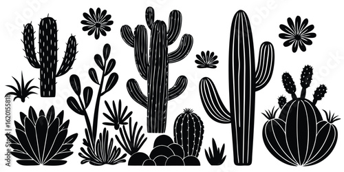 Monochrome collection of desert plants cactus succulents and flowers in silhouette style on white background