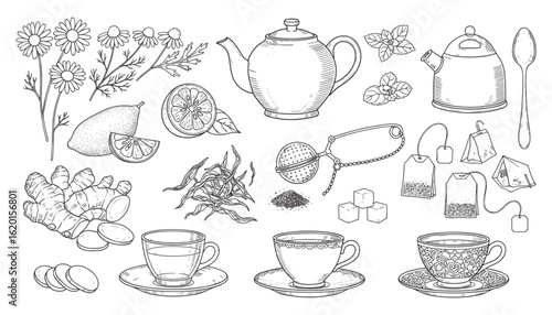 Herbal Tea Preparation Elements Sketch Vector Illustration with Teapot, Cups, Ginger, Lemon, and Bags
