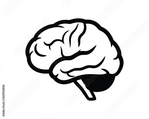 Human Brain Anatomy Organ Structure Thought Process Idea Intelligence Mind Symbol Vector Illustration