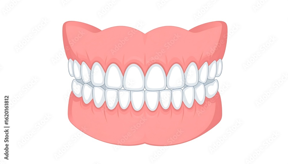 Fototapeta premium Detailed Illustration of Dentures with a Focus on Aesthetic Appearance and Comfort