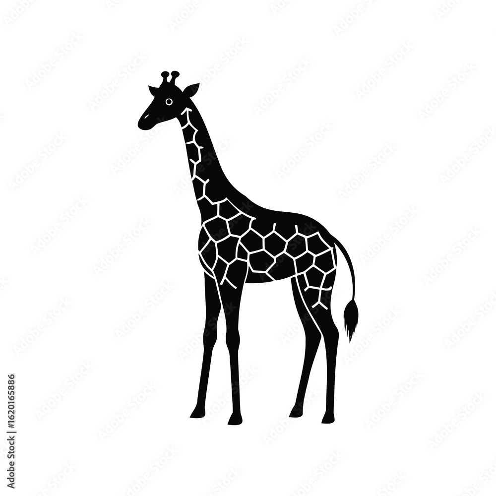 Fototapeta premium Elegant black and white giraffe vector illustration with distinctive spot pattern