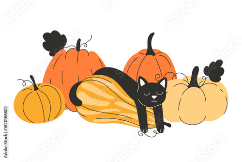 Cute Black Cat Sleeping on Pile of Orange and Yellow Autumn Pumpkins Flat Style Fall Illustration