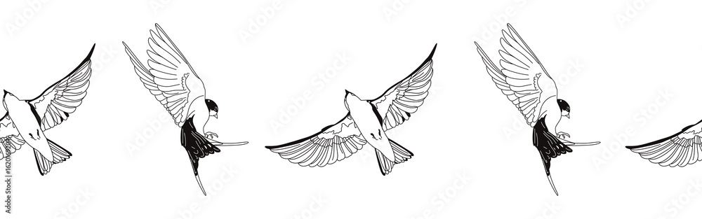 Obraz premium Border icon border. Bird feather silhouette symbol. Bird border isolated on white background