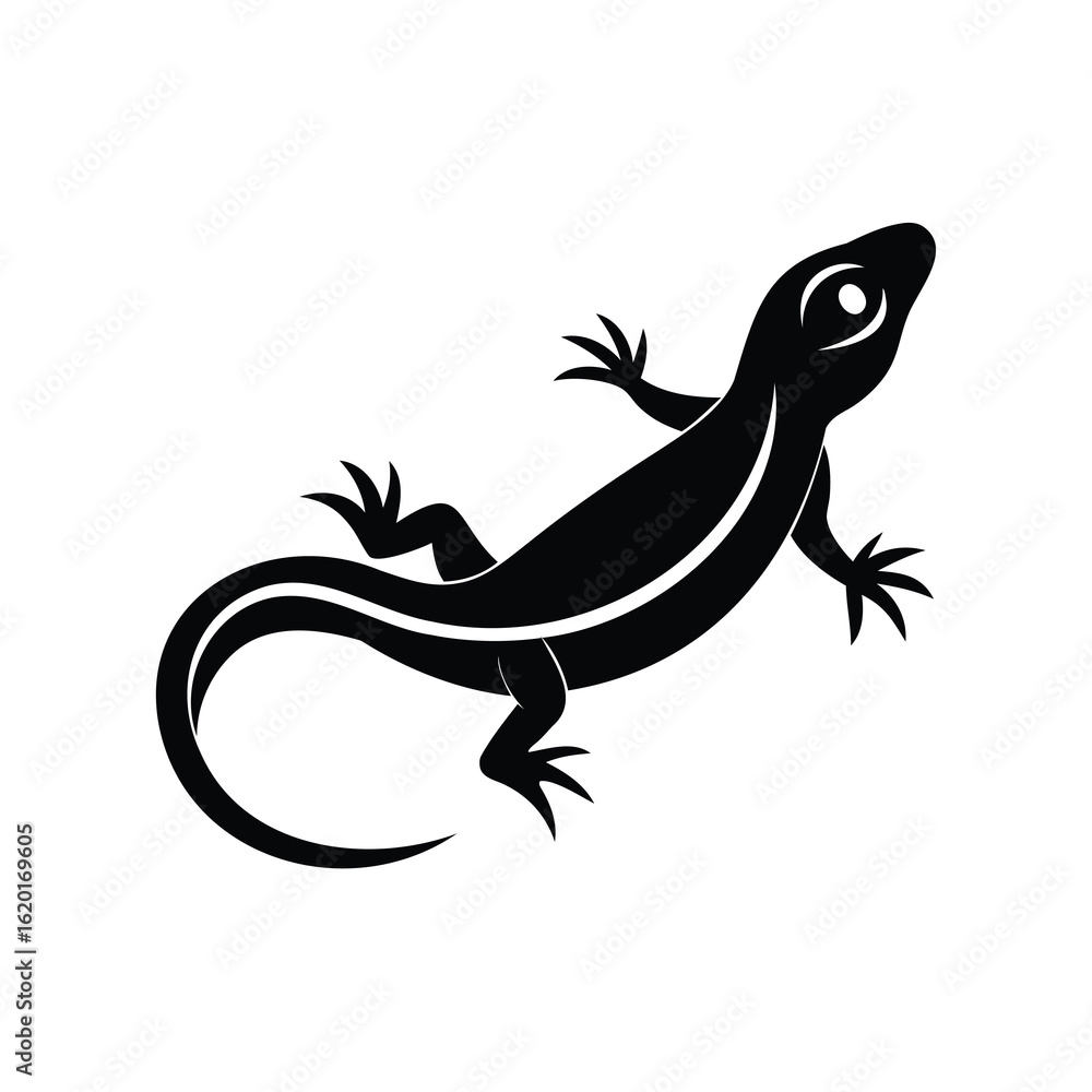 Naklejka premium Stylized Silhouette of a Lizard with Distinctive Tail and Toes on White