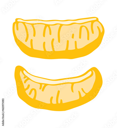 illustration of yellow lemon slices Isolated, lemon wedges