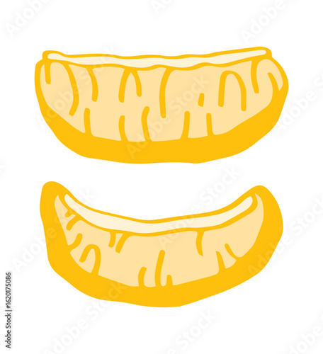 illustration of yellow lemon or mandarin slices Isolated lemon wedges