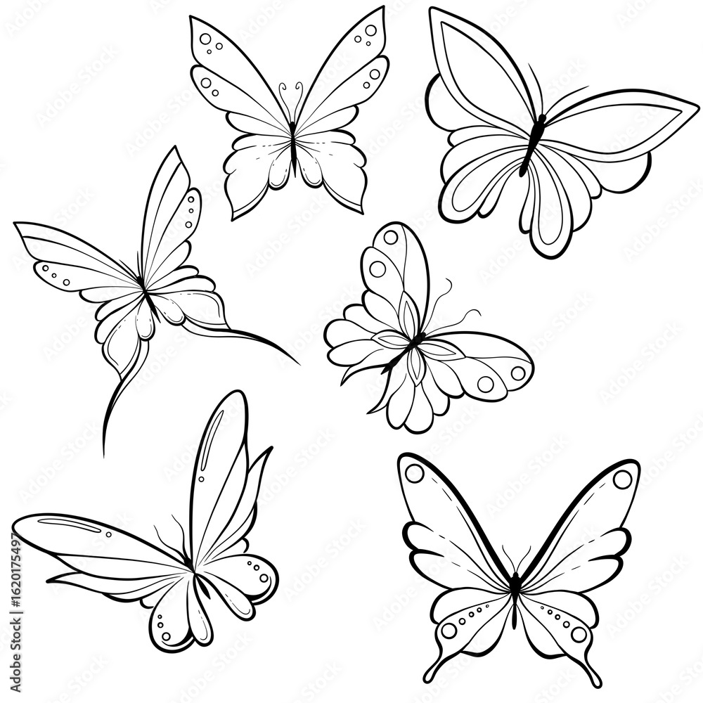 Obraz premium set of butterflies