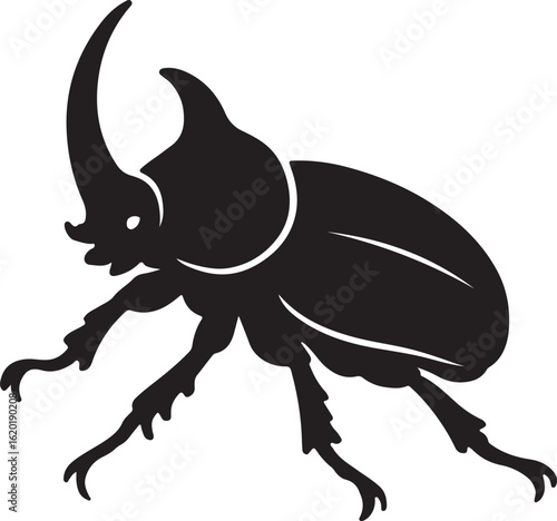 Black rhinoceros beetle silhouette with large horn on white background insect