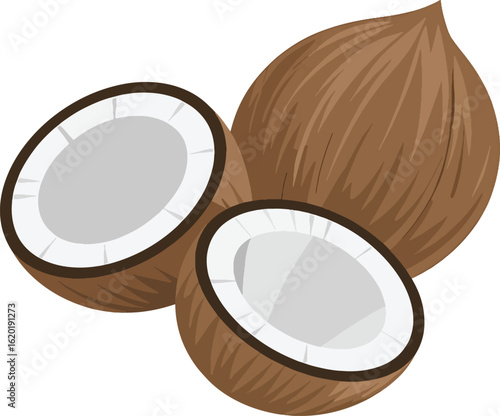 Delicious Whole Tropical Coconut Fruit for Healthy Food and Summer Refreshment