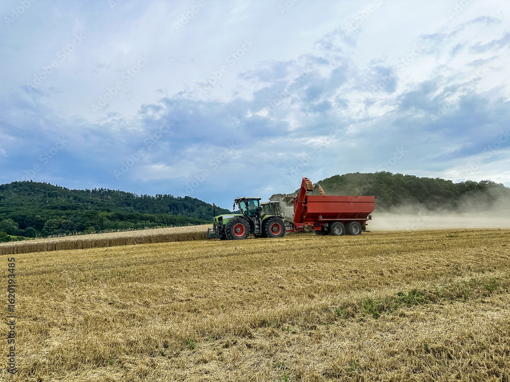 A combine harvester unloads its hopper into a tractor trailer. Harvesting wheat from the fields. Herbicides and pesticides for high yields. High quality photo A combine harvester unloads its hopper into a tractor trailer. Harvesting wheat from the fields. Herbicides and pesticides for high yields. High quality photo
