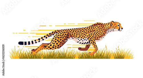 Cheetah running illustration. Dynamic depiction of a cheetah in full sprint with motion effects, surrounded by grassy terrain, showcasing speed and agility. Wildlife speed concept. Vector...
