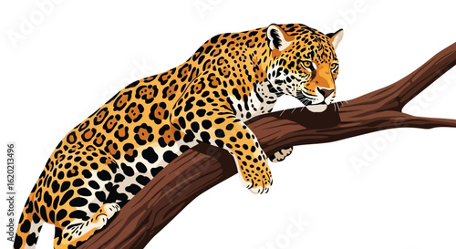 Wildlife illustration. Detailed vector artwork of a jaguar resting on a tree branch, featuring realistic spotted fur patterns and relaxed posture. Jungle predator concept. Vector illustration.