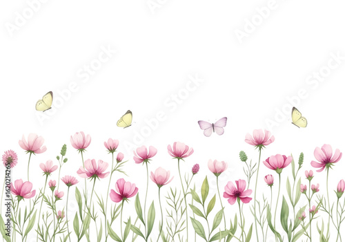 Fototapeta Naklejka Na Ścianę i Meble -  Watercolor illustration of pink flowers and butterflies Isolated on transparent background