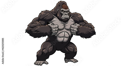Powerful gorilla illustration. Muscular and fierce gorilla character in aggressive chest-beating pose showcasing strength and dominance. Wildlife and animal behavior concept. Vector art.