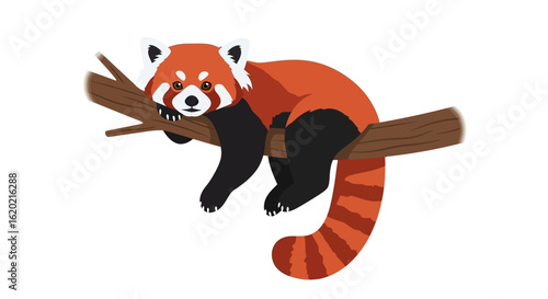 Red panda illustration. Adorable cartoon red panda resting on a tree branch with detailed fur pattern, vibrant colors, and playful expression. Wildlife and nature concept. Vector art.