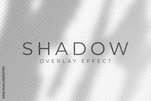 Shadow overlay effect. Transparent soft light and shadows from plant branches, leaves and foliage. Mockup of abstract transparent shadow overlay effect and natural lightning scene. Vector