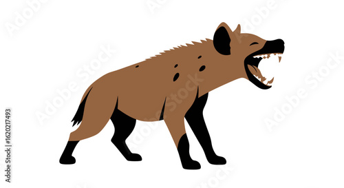 Wildlife illustration. Spotted hyena standing and growling with visible sharp teeth in a side profile showing details of its brown fur and dark spots. African savanna predator concept.