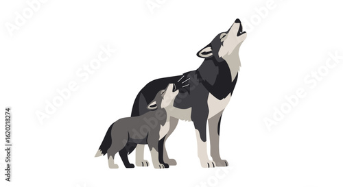 Wolf illustration set. Adult wolf and pup howling together in a minimalistic style with detailed fur texture and natural posture. Wildlife bonding and animal communication concept. Vector graphic.