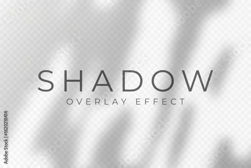 Shadow overlay effect. Transparent soft light and shadows from plant branches, leaves and foliage. Mockup of abstract transparent shadow overlay effect and natural lightning scene. Vector