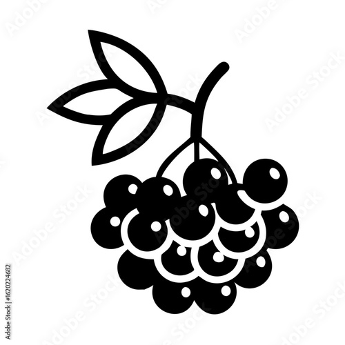 Illustration of a cluster of berries with leaves in black color