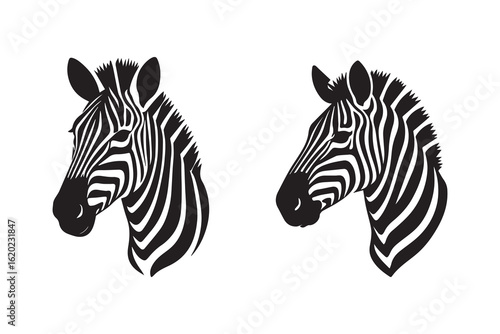 Zebra head icon silhouette with white background