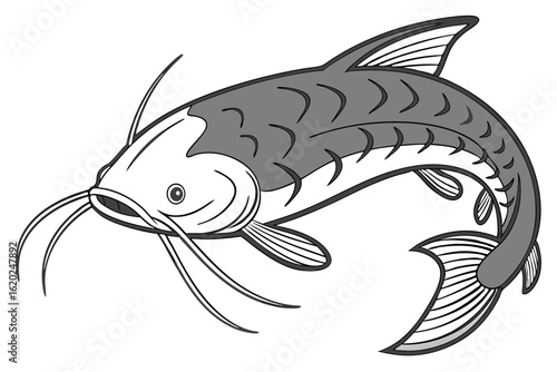Realistic catfish fish design on clean white surface