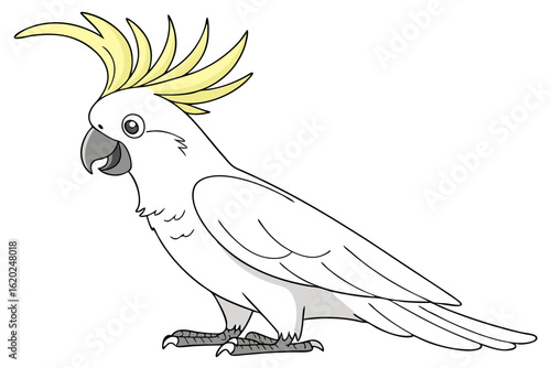 Vibrant Cockatoo Bird Perched on White Isolated Surface