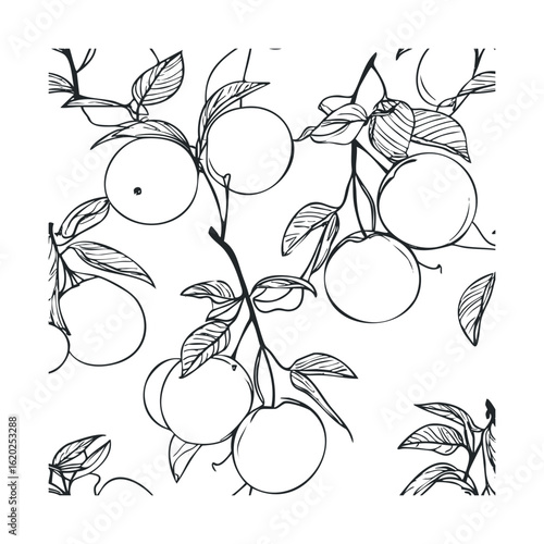 Orange tree branch with ripe fruit and leaves in a botanical style