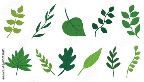 Set of different tropical and other green leaves. autumn leaves vector illustration, exotic tropical leaves on a white background. Jungle leaf and twigs wild plant collection for your design elements