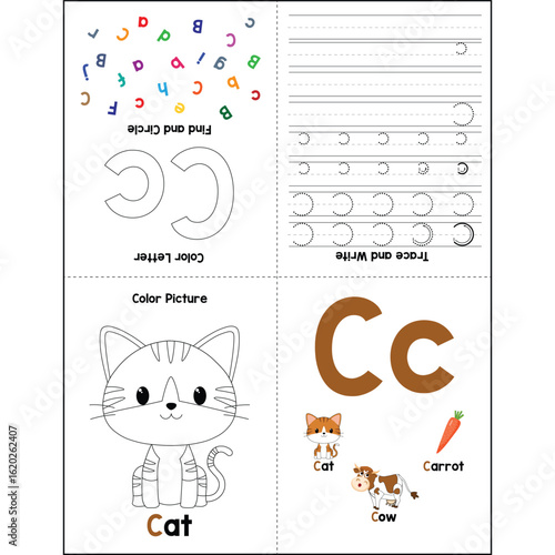 Alphabet minibook activities for kids Cc