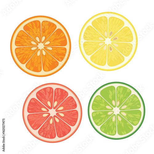 Sliced Citrus Fruits