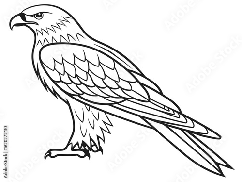 Soaring Kite Bird Graphic Design on White Surface