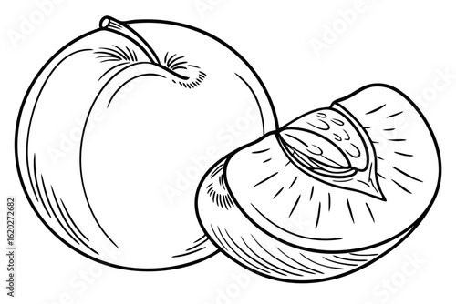 Ripe nectarine fruit vector on white background for healthy food graphics