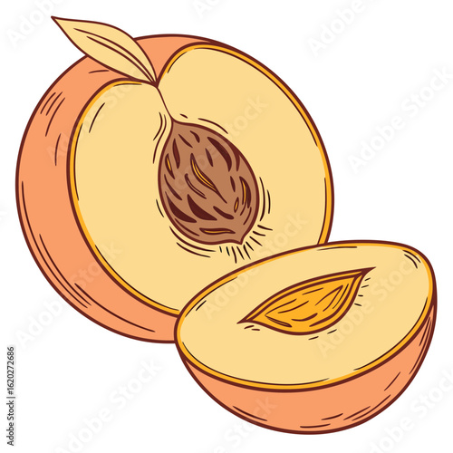 Sweet nectarine fruit image on white background for diet and nutrition visuals